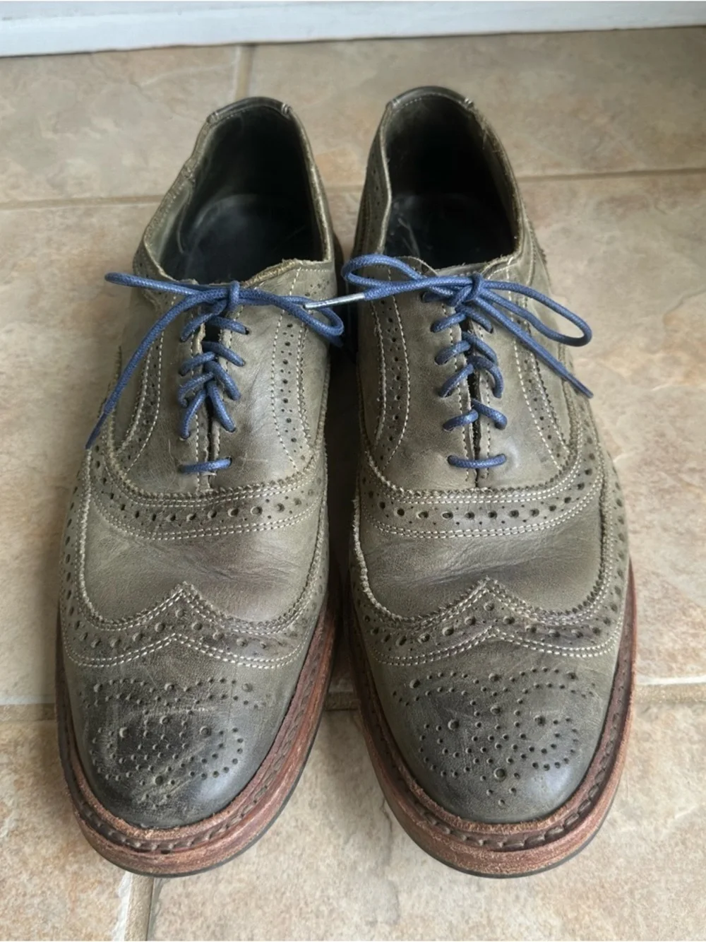 Allen Edmonds RIDGEWAY Gray Green Leather Wingtip Oxford Shoes NARROW​​